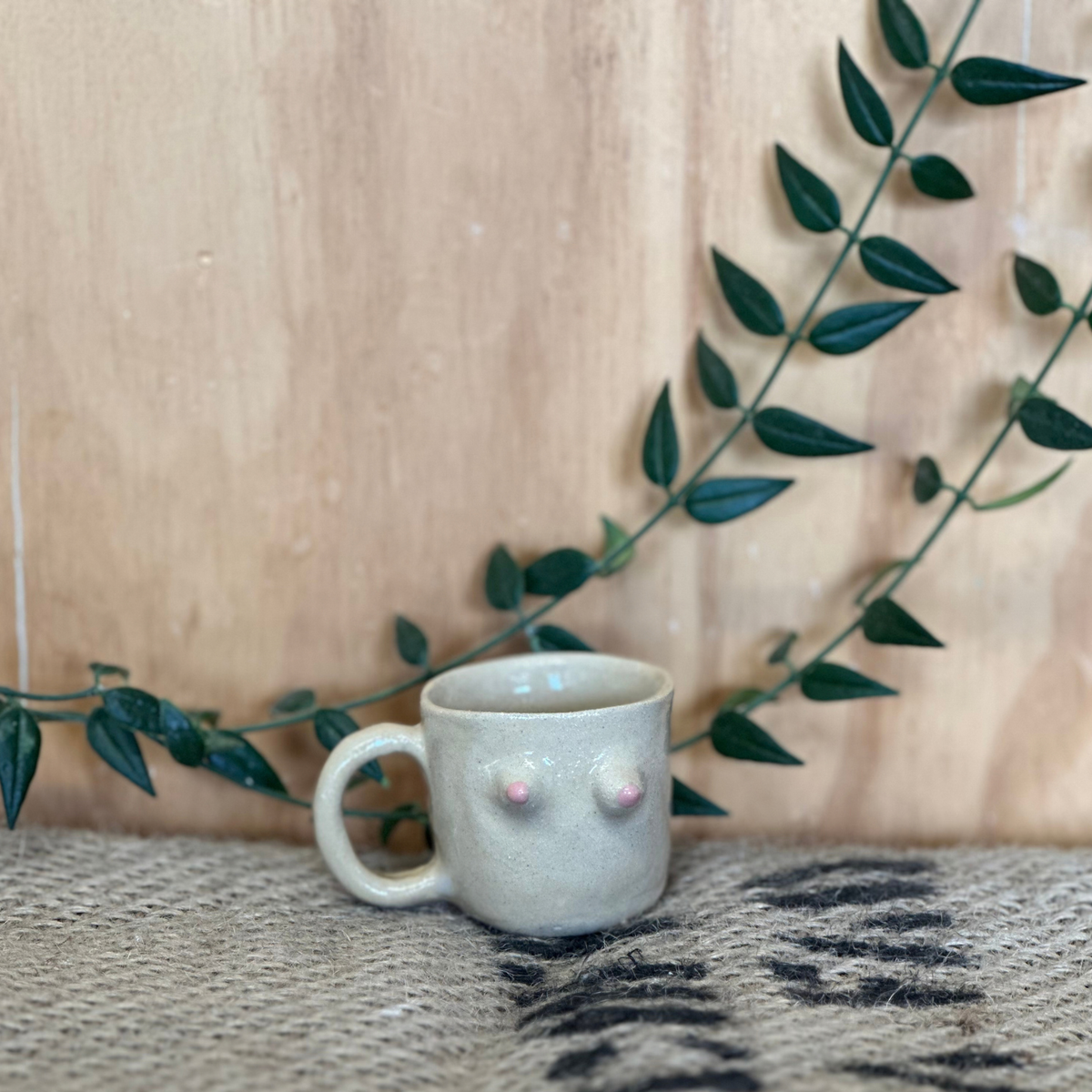 Beautiful Minis – Mini Booby Mug